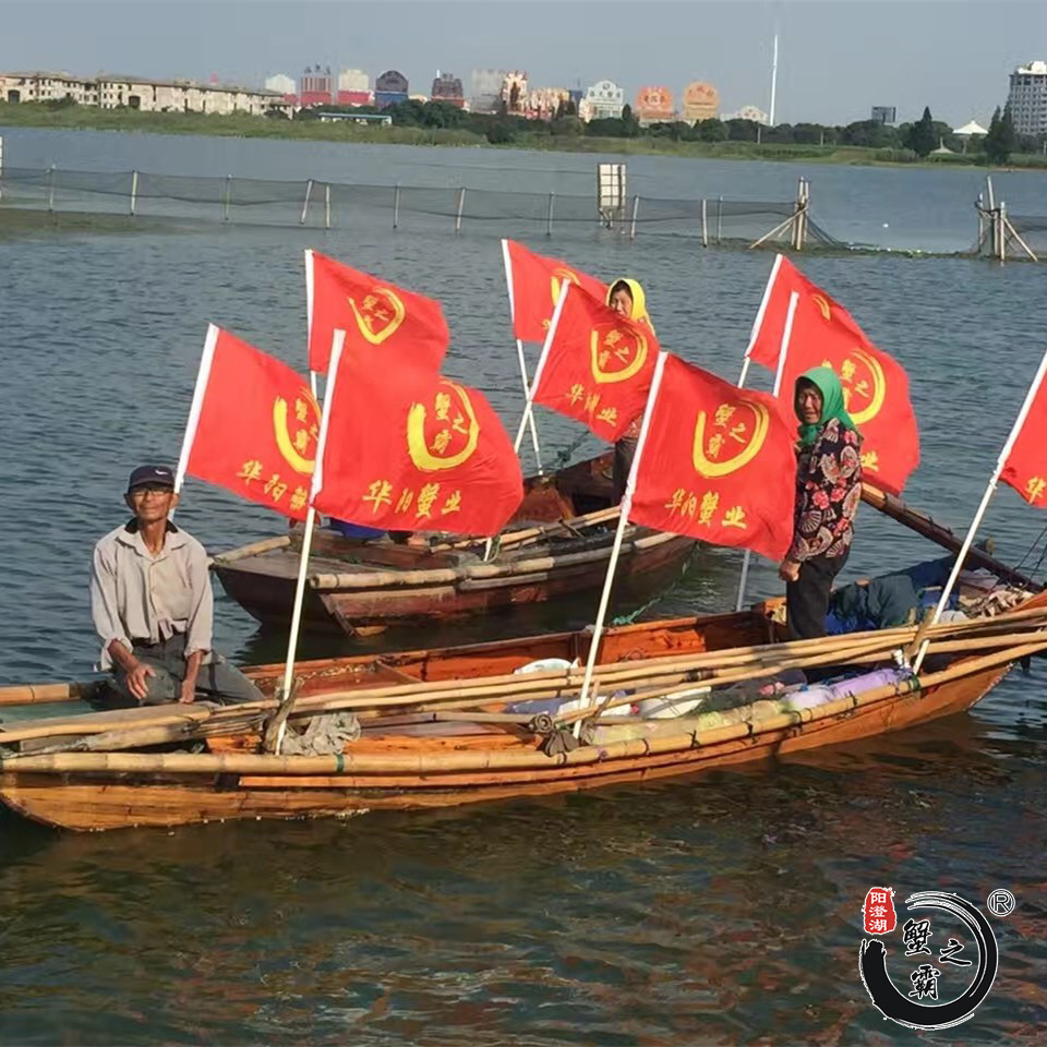 蟹之霸大闸蟹